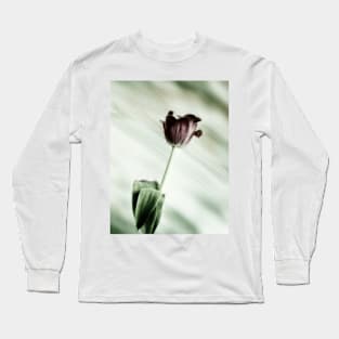 Springtime Tulip Long Sleeve T-Shirt